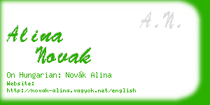 alina novak business card